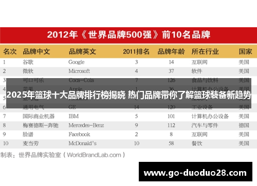 2025年篮球十大品牌排行榜揭晓 热门品牌带你了解篮球装备新趋势