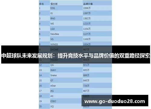 中超球队未来发展规划：提升竞技水平与品牌价值的双重路径探索