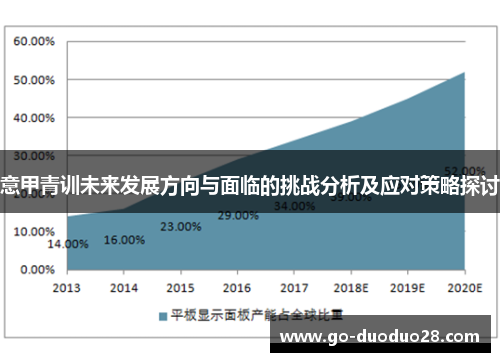 意甲青训未来发展方向与面临的挑战分析及应对策略探讨 意甲青训未来发展方向与面临的挑战分析及应对策略探讨