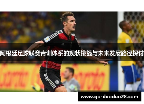 阿根廷足球联赛青训体系的现状挑战与未来发展路径探讨